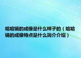 哈哈鏡的成像是什么樣子的（哈哈鏡的成像特點是什么簡介介紹）