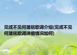 見(jiàn)或不見(jiàn)何晟銘歌詞介紹(見(jiàn)或不見(jiàn)何晟銘歌詞詳細(xì)情況如何)