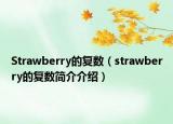 Strawberry的復數(shù)（strawberry的復數(shù)簡介介紹）