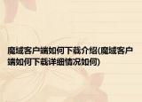 魔域客戶端如何下載介紹(魔域客戶端如何下載詳細(xì)情況如何)