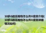 10多G的壓縮包怎么傳U盤(pán)里介紹(10多G的壓縮包怎么傳U盤(pán)里詳細(xì)情況如何)