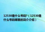 12530是什么號(hào)碼?（12530是什么號(hào)碼哪里的簡(jiǎn)介介紹）