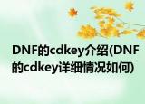 DNF的cdkey介紹(DNF的cdkey詳細(xì)情況如何)