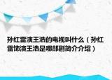 孫紅雷演王浩的電視叫什么（孫紅雷飾演王浩是哪部劇簡介介紹）