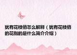 猶有花枝俏怎么解釋（猶有花枝俏的花指的是什么簡介介紹）
