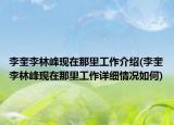 李奎李林峰現(xiàn)在那里工作介紹(李奎李林峰現(xiàn)在那里工作詳細(xì)情況如何)