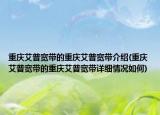 重慶艾普寬帶的重慶艾普寬帶介紹(重慶艾普寬帶的重慶艾普寬帶詳細(xì)情況如何)