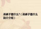 湯婆子是什么?（湯婆子是什么簡介介紹）
