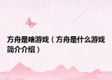 方舟是啥游戲（方舟是什么游戲簡介介紹）