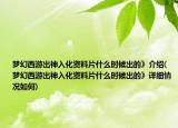 夢幻西游出神入化資料片什么時候出的》介紹(夢幻西游出神入化資料片什么時候出的》詳細情況如何)