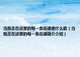 當(dāng)我走在這里的每一條街道是什么歌（當(dāng)我走在這里的每一條街道簡(jiǎn)介介紹）