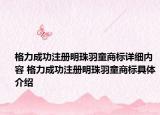 格力成功注冊(cè)明珠羽童商標(biāo)詳細(xì)內(nèi)容 格力成功注冊(cè)明珠羽童商標(biāo)具體介紹