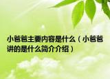 小爸爸主要內(nèi)容是什么（小爸爸講的是什么簡(jiǎn)介介紹）
