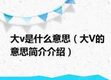 大v是什么意思（大V的意思簡介介紹）