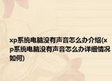 xp系統(tǒng)電腦沒有聲音怎么辦介紹(xp系統(tǒng)電腦沒有聲音怎么辦詳細(xì)情況如何)