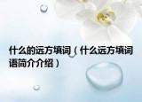 什么的遠(yuǎn)方填詞（什么遠(yuǎn)方填詞語(yǔ)簡(jiǎn)介介紹）