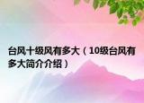 臺(tái)風(fēng)十級(jí)風(fēng)有多大（10級(jí)臺(tái)風(fēng)有多大簡(jiǎn)介介紹）