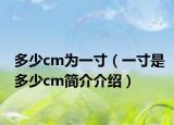 多少cm為一寸（一寸是多少cm簡介介紹）