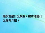 鏹水池是什么東西（鏹水池是什么簡介介紹）