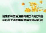姚剛和韓雪主演的電視劇介紹(姚剛和韓雪主演的電視劇詳細情況如何)