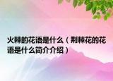 火棘的花語是什么（荊棘花的花語是什么簡介介紹）