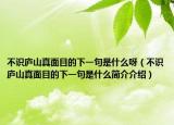 不識廬山真面目的下一句是什么呀（不識廬山真面目的下一句是什么簡介介紹）