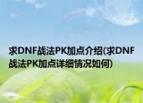 求DNF戰(zhàn)法PK加點介紹(求DNF戰(zhàn)法PK加點詳細情況如何)