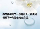 春風(fēng)拂柳葉下一句是什么（春風(fēng)拂楊柳下一句是啥簡介介紹）