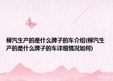 柳汽生產(chǎn)的是什么牌子的車(chē)介紹(柳汽生產(chǎn)的是什么牌子的車(chē)詳細(xì)情況如何)