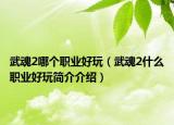 武魂2哪個(gè)職業(yè)好玩（武魂2什么職業(yè)好玩簡(jiǎn)介介紹）