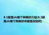 9.1聯(lián)盟dk哪個(gè)種族好介紹(9.1聯(lián)盟dk哪個(gè)種族好詳細(xì)情況如何)