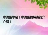 水滴魚學(xué)名（水滴魚的特點簡介介紹）