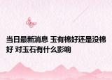 當日最新消息 玉有棉好還是沒棉好 對玉石有什么影響