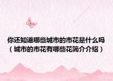 你還知道哪些城市的市花是什么嗎（城市的市花有哪些花簡介介紹）