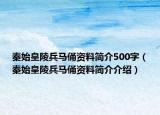 秦始皇陵兵馬俑資料簡(jiǎn)介500字（秦始皇陵兵馬俑資料簡(jiǎn)介介紹）
