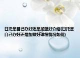 日托是自己辦好還是加盟好介紹(日托是自己辦好還是加盟好詳細(xì)情況如何)