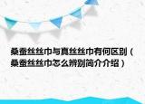桑蠶絲絲巾與真絲絲巾有何區(qū)別（桑蠶絲絲巾怎么辨別簡介介紹）