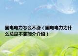 國電電力怎么不漲（國電電力為什么總是不漲簡介介紹）