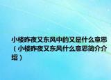 小樓昨夜又東風中的又是什么意思（小樓昨夜又東風什么意思簡介介紹）