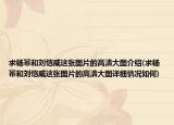 求楊冪和劉愷威這張圖片的高清大圖介紹(求楊冪和劉愷威這張圖片的高清大圖詳細情況如何)