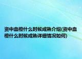 資中血橙什么時(shí)候成熟介紹(資中血橙什么時(shí)候成熟詳細(xì)情況如何)