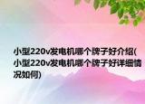 小型220v發(fā)電機(jī)哪個(gè)牌子好介紹(小型220v發(fā)電機(jī)哪個(gè)牌子好詳細(xì)情況如何)