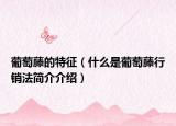 葡萄藤的特征（什么是葡萄藤行銷法簡(jiǎn)介介紹）