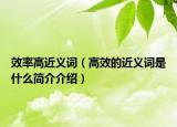 效率高近義詞（高效的近義詞是什么簡介介紹）