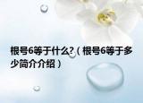 根號6等于什么?（根號6等于多少簡介介紹）