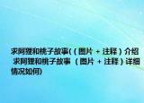 求阿貍和桃子故事(（圖片 + 注釋）介紹 求阿貍和桃子故事 （圖片 + 注釋）詳細(xì)情況如何)