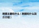 刺猬主要吃什么（刺猬吃什么簡(jiǎn)介介紹）