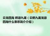 云龍四海 鶴游九霄（云鶴九霄龍游四海什么意思簡介介紹）