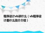 程序設(shè)計vb講什么（vb程序設(shè)計是什么簡介介紹）