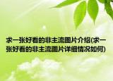 求一張好看的非主流圖片介紹(求一張好看的非主流圖片詳細(xì)情況如何)